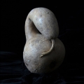 Swan Gourd - Timothy Chambers